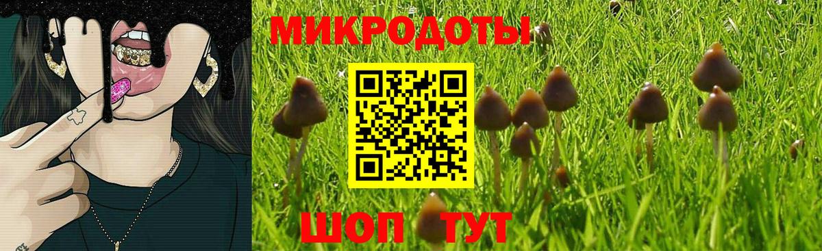 Галлюциногенные грибы Psilocybe  Вход с VPN  Дербент 